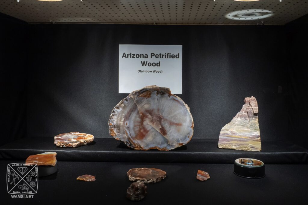 Willamette Agate and MIneral Society River of Gems Show 2024